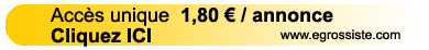 acc�s unique egrossiste
