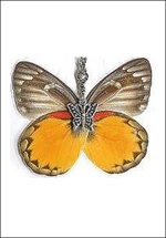 grossiste destockage BIJOUX INSECTES