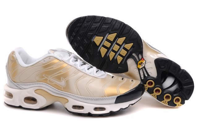 grossiste destockage 2011new nike TNmiroir femme